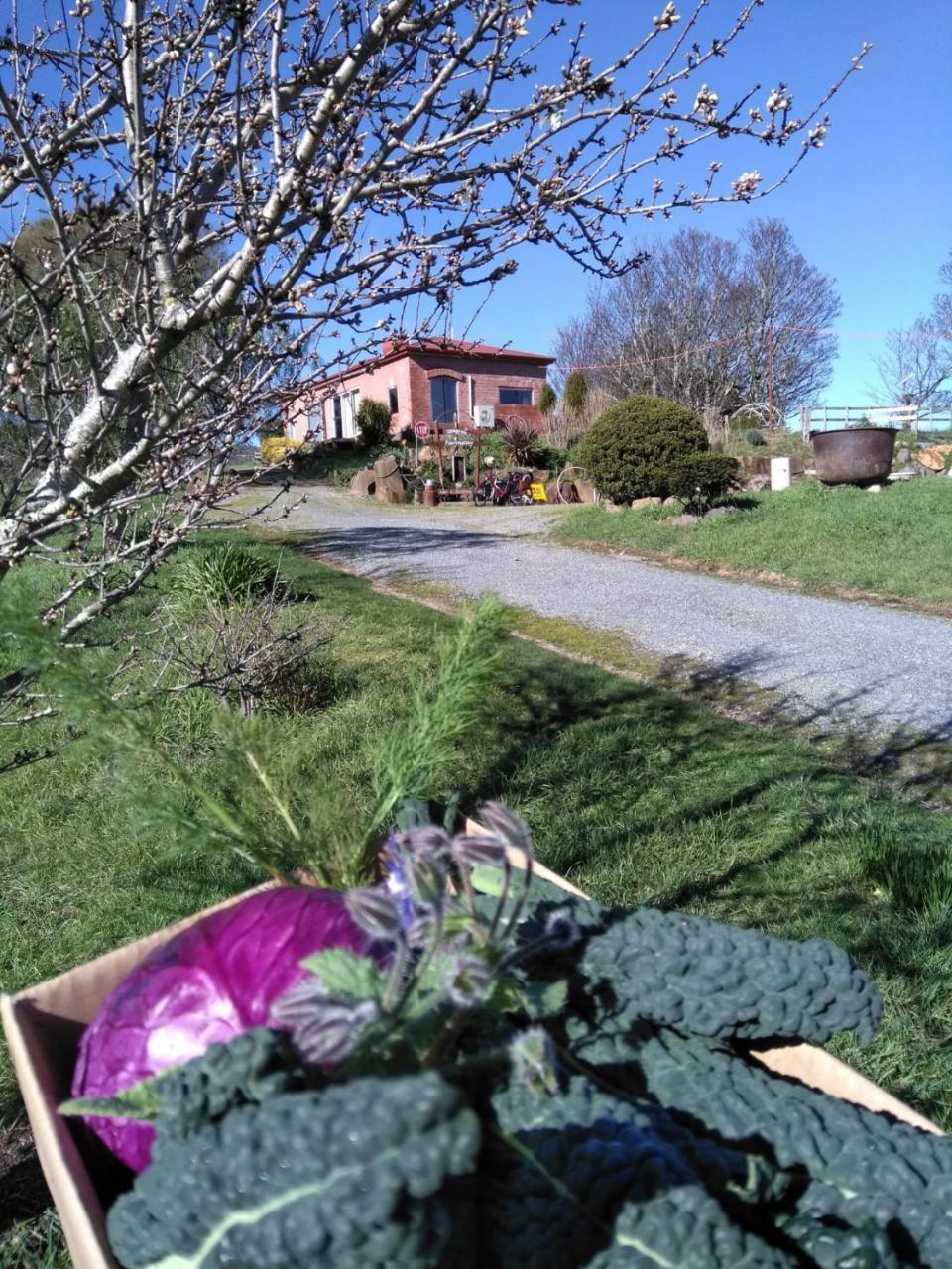 Cherry Top Farmstay - Boutique Eco Village Lilydale Exterior photo