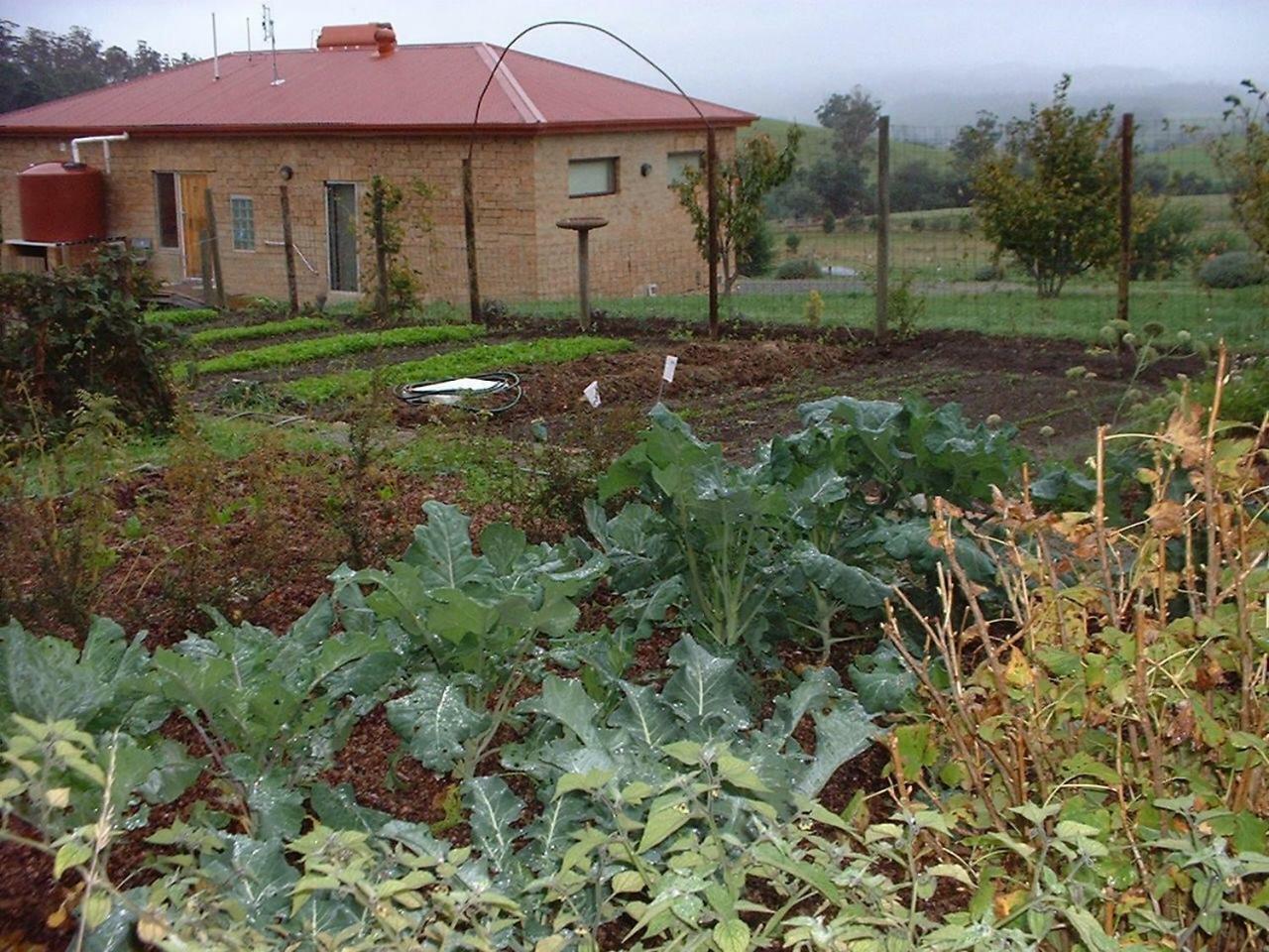 Cherry Top Farmstay - Boutique Eco Village Lilydale Exterior photo